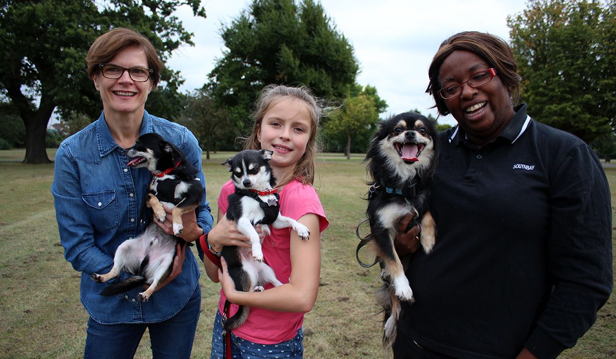 Three people are smiling and holding three small dogs. They're all out in a park on a warm day.
