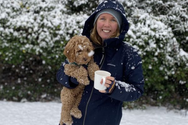 Spud, the Cockapoo, with his owner in the snow
