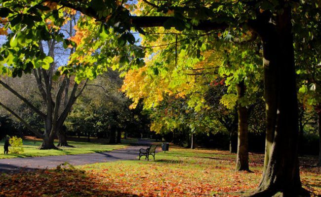 A bright, autumnal morning at Ormeau Park, Belfast