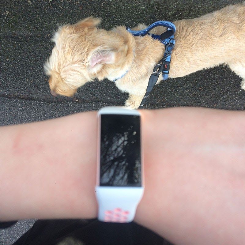 (8,954/10,000 steps)