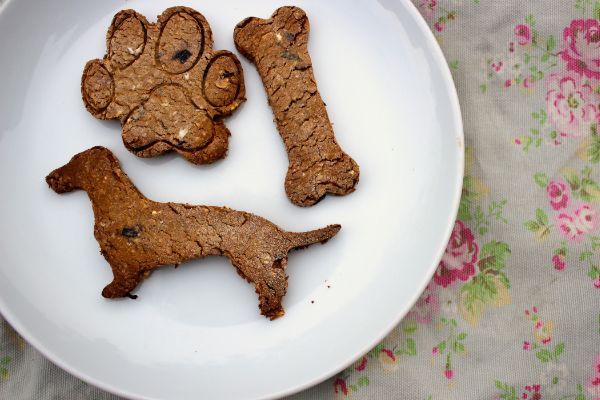 doggy biscuits