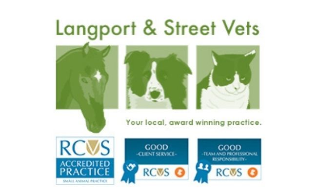 Street Veterinary Centre