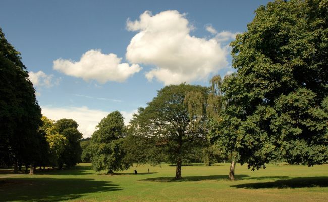 A lovely summer's morning at Eastville Park in Bristol