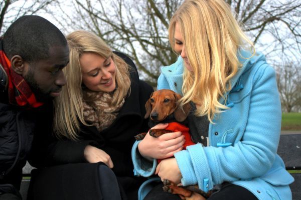 George, the Dachshund with owners Katherine & Peter