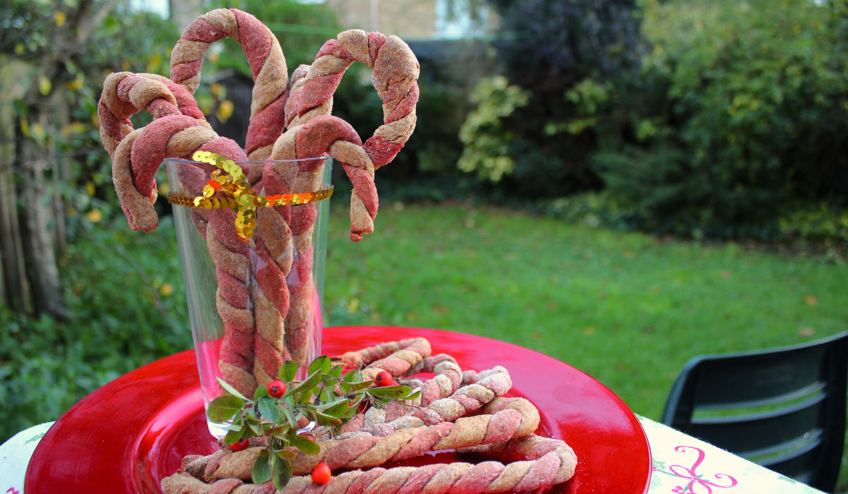 A glass of Baked Candy Canes sitting on a red plate filled with more canes in the garden.