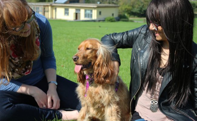 Doggy member Ciccia, Morena and Eilidh getting to know one another in the park