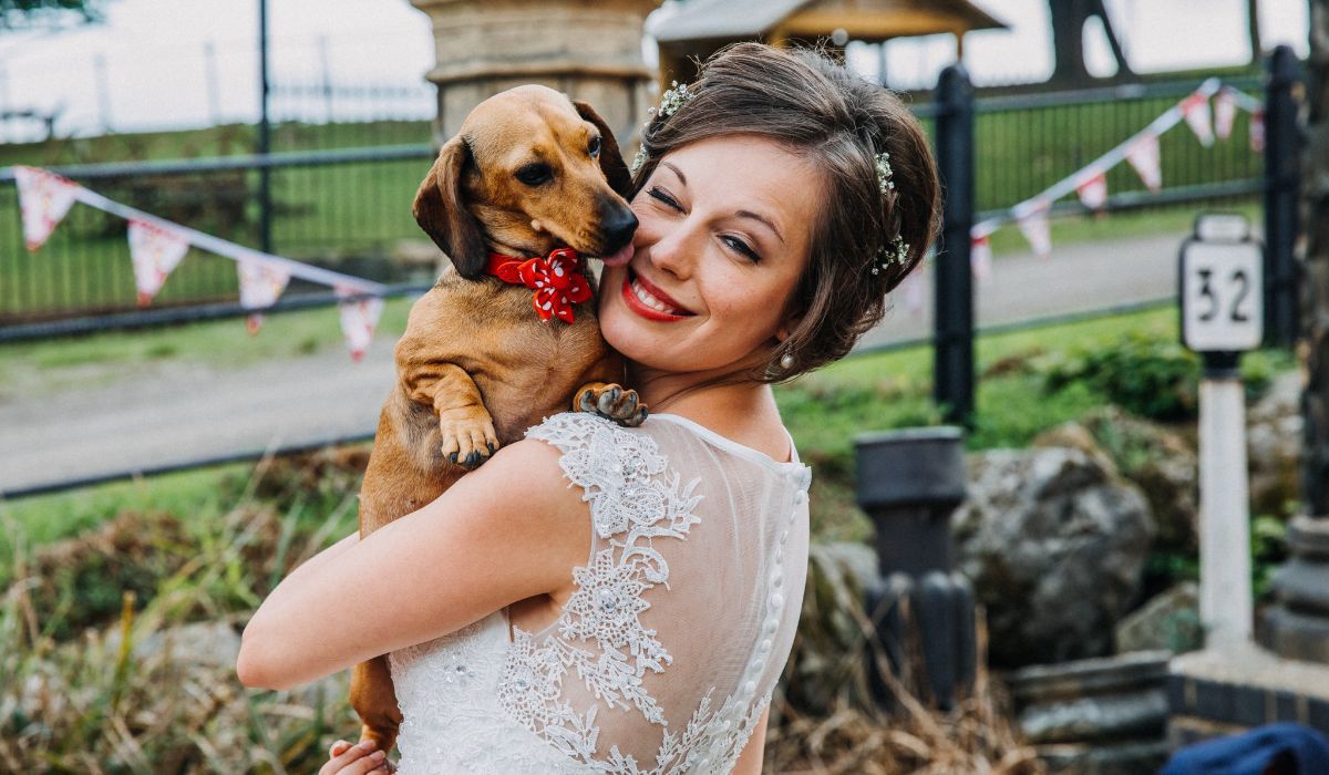 Dog Friendly Weddings