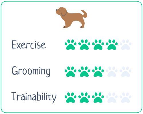 Akita stats: exercise 4/5, grooming 3/5, trainability 3/5