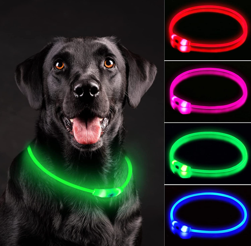 LED dog collar