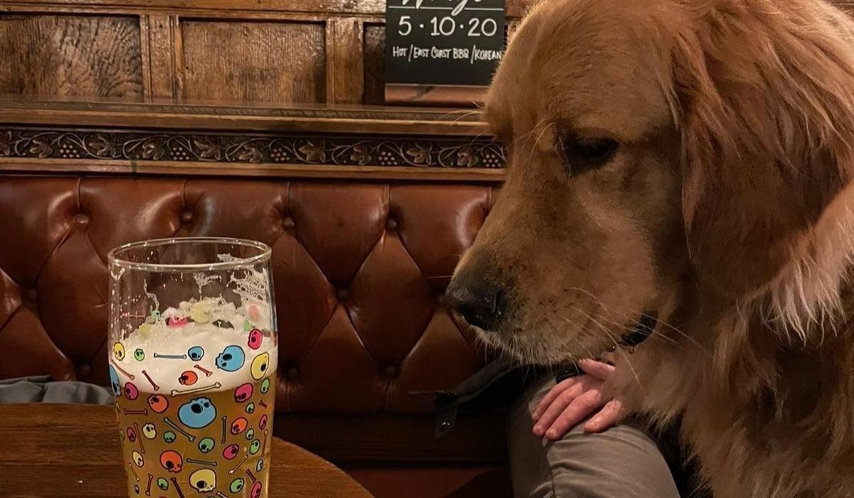 Dog friendly places to eat in Bournemouth