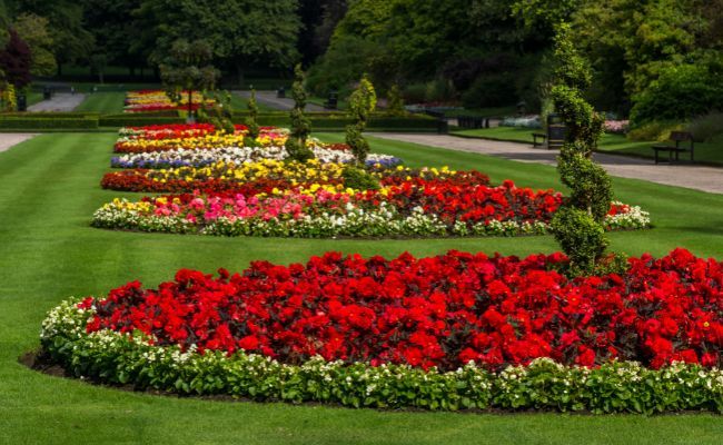 The brightly coloured flower arrangements at Seaton Park, Aberdeen
