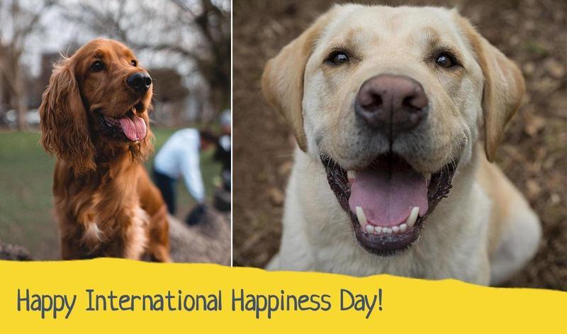 Happy International Happiness Day!