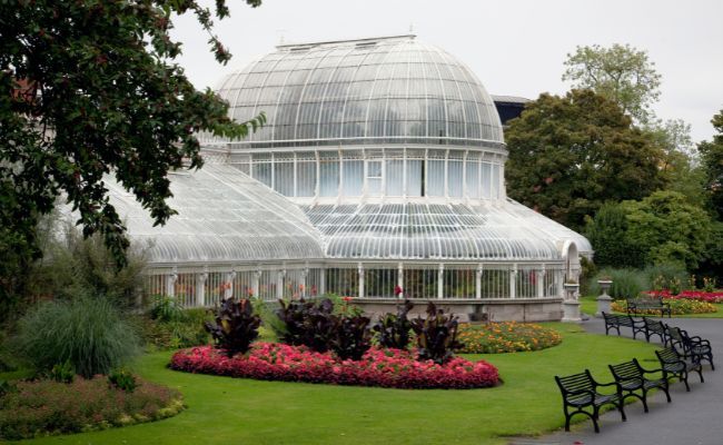 A grey, cloudy day at Botanic Gardens, Belfast