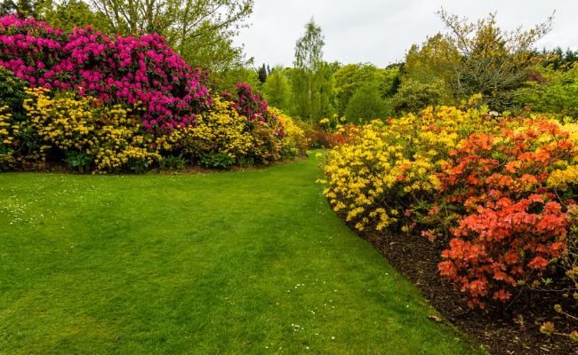 The colourful gardens of Hazlehead Park, Aberdeen