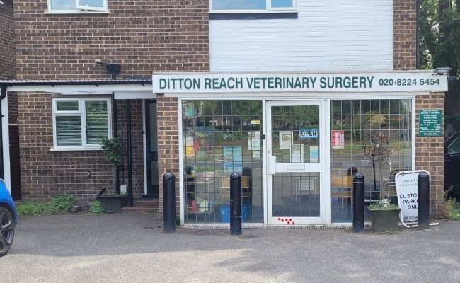 Ditton Reach Veterinary Surgery