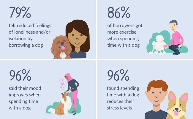 An illustration that reads: 79% felt reduced feelings of loneliness and/or isolation by borrowing a dog, 86% of borrowers got more exercise when spending time with a dog, 96% said their mood improves when spending time with a dog, 96% found spending time with a dog reduces their stress levels