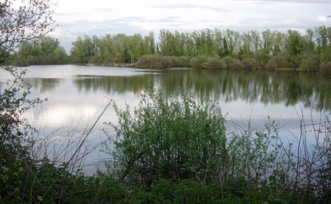 A large lake at Milton Country Park, Cambridge