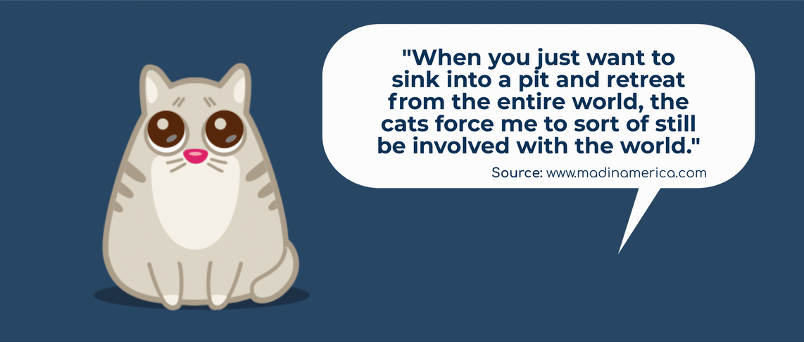 Quote "When you just want to sink into a pit and retreat from the entire world, the cats force me to sort of still be involved with the world." Source: www.madamerica.com