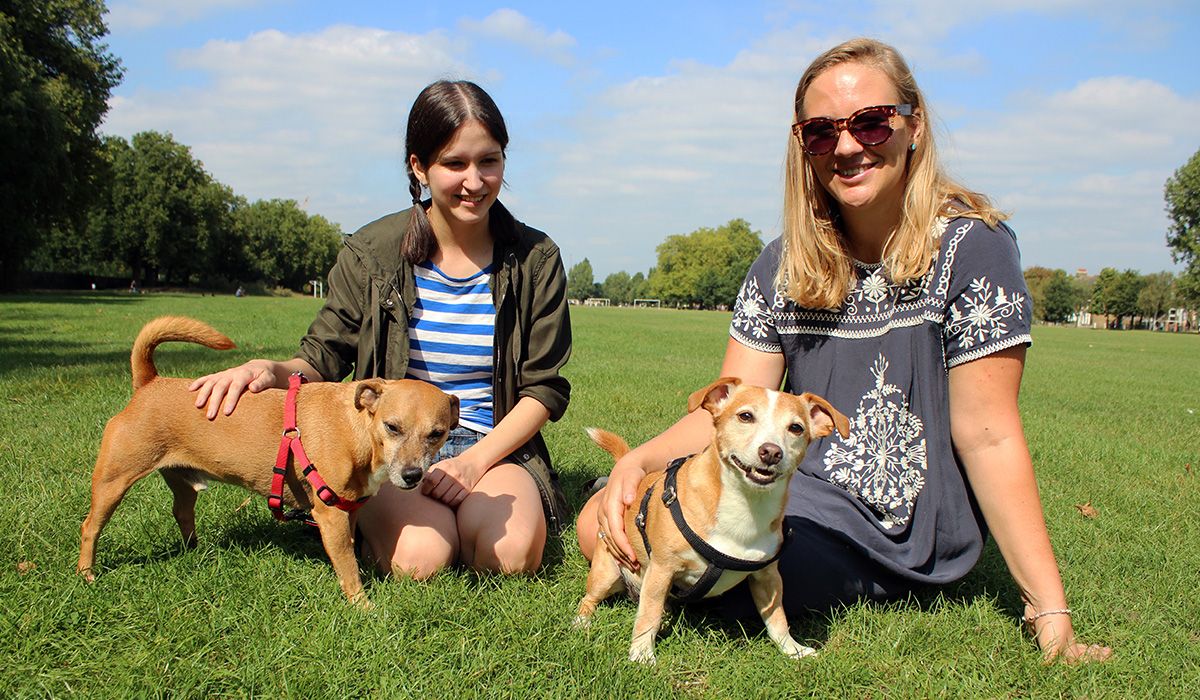 Two women and two small, tan and white dogs are sitting on grass on a sunny day
