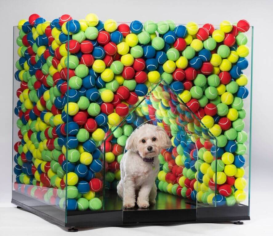 DW Kennel