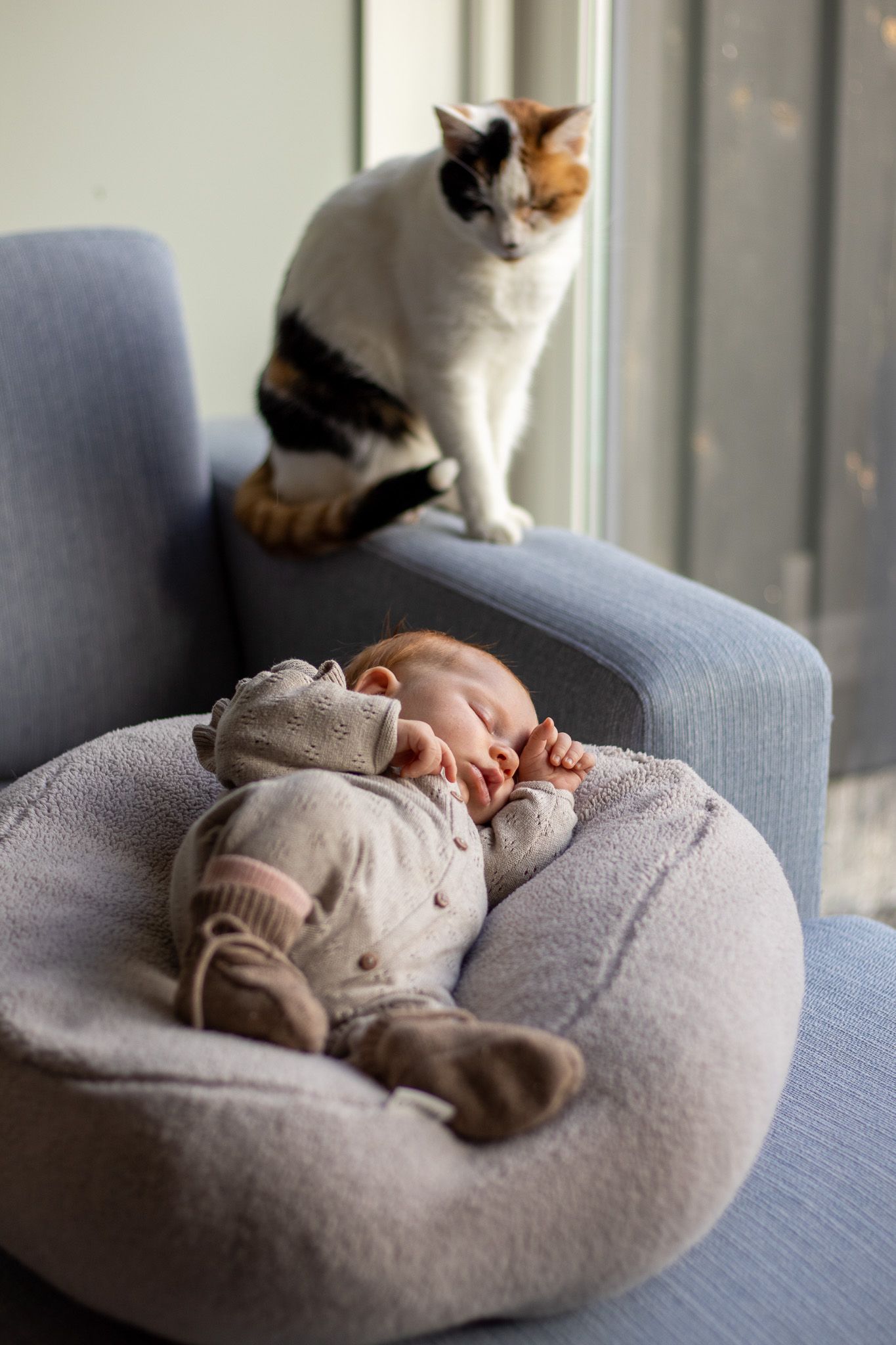 baby en kat