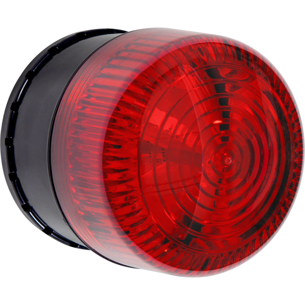 【strober(ストロバー)】メリージーェン サイズ5 Yahoo!オークション -「strober ストロバー」(レディースシューズ) の