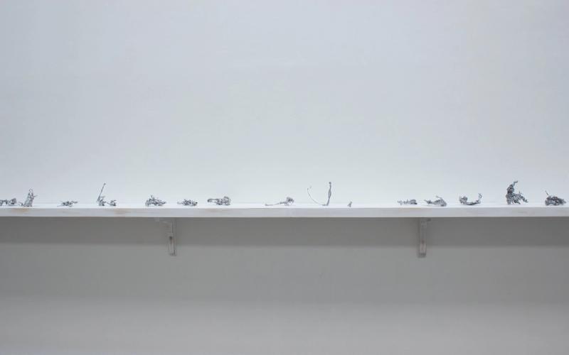 Slider image number 1 - Formation