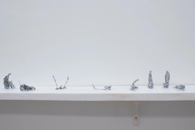 Slider image number 5 - Formation