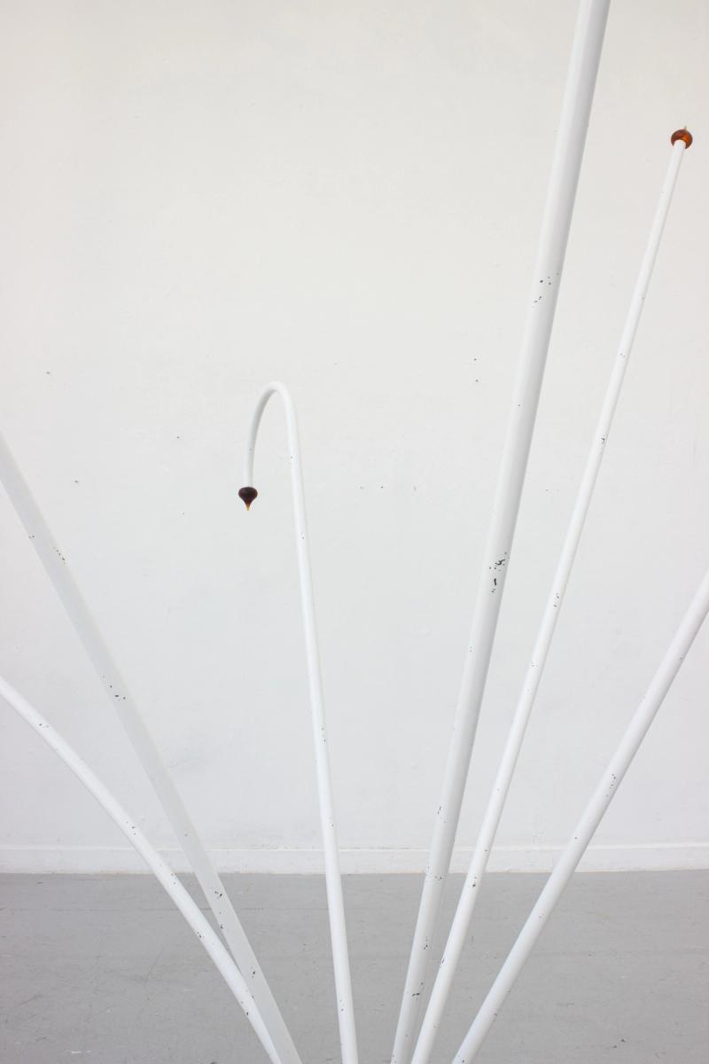 Slider image number 2 - COSMO