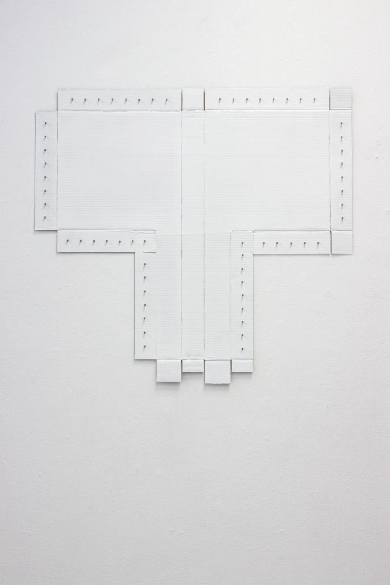 Slider image number 2 - Shapeshifter