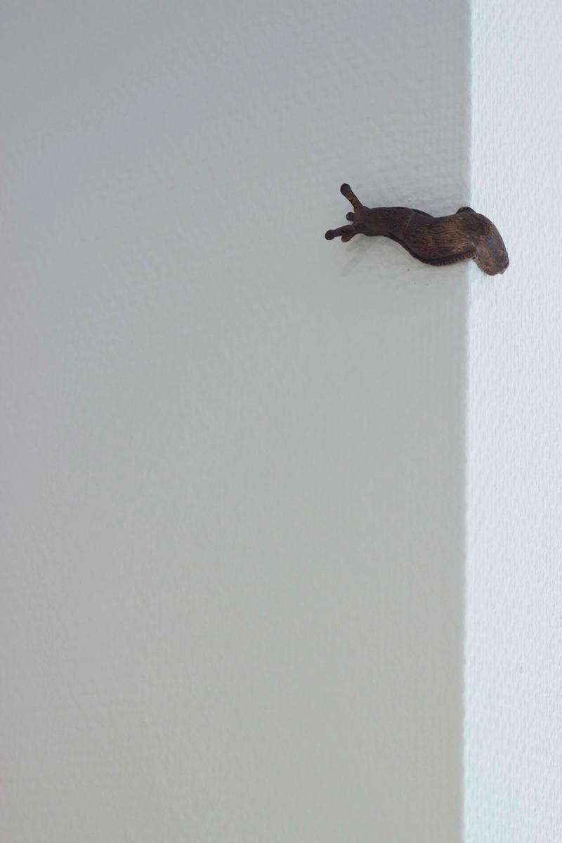 Slider image number 1 - Spanish slugs