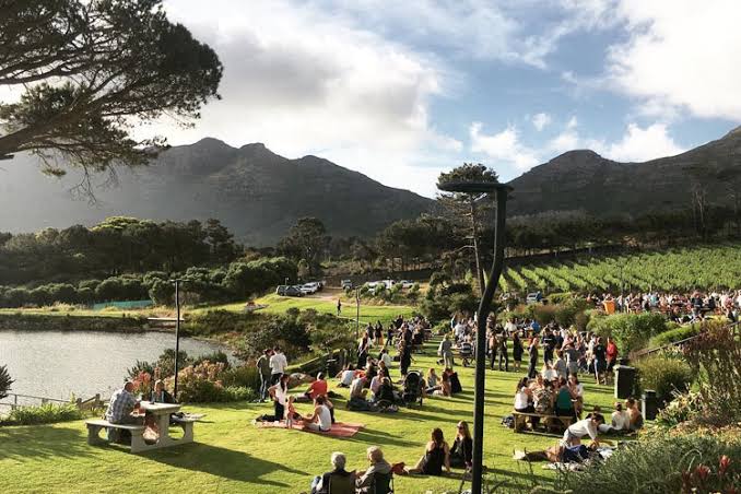 Cape Point Vineyards Market