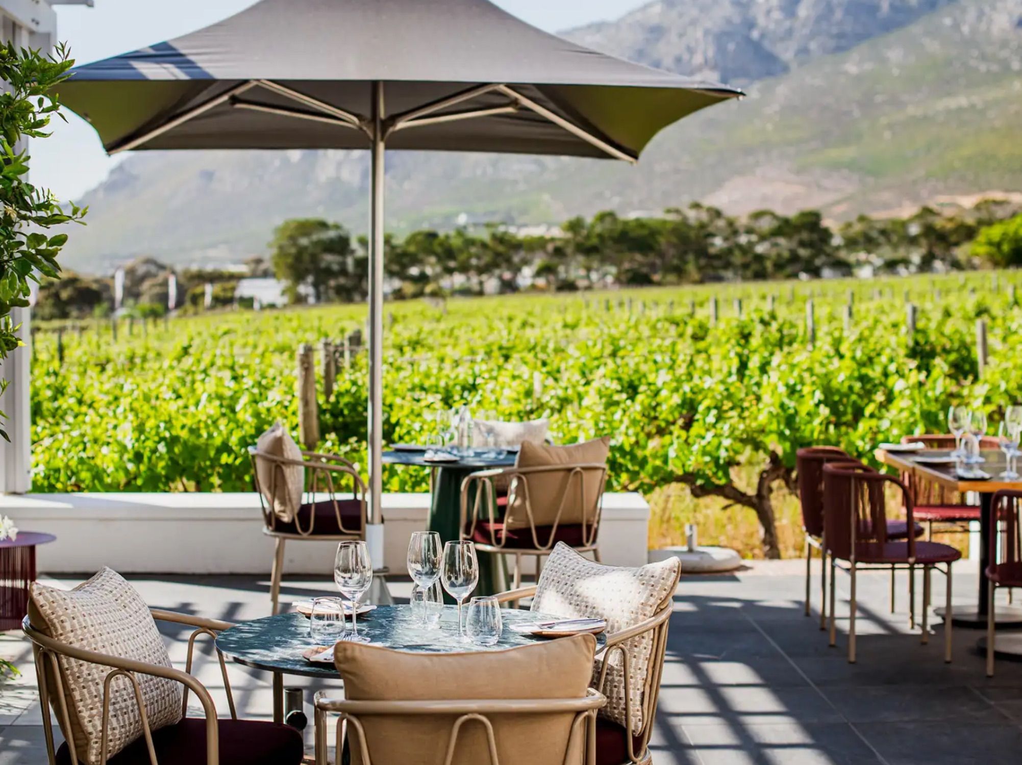 Steenberg Farm