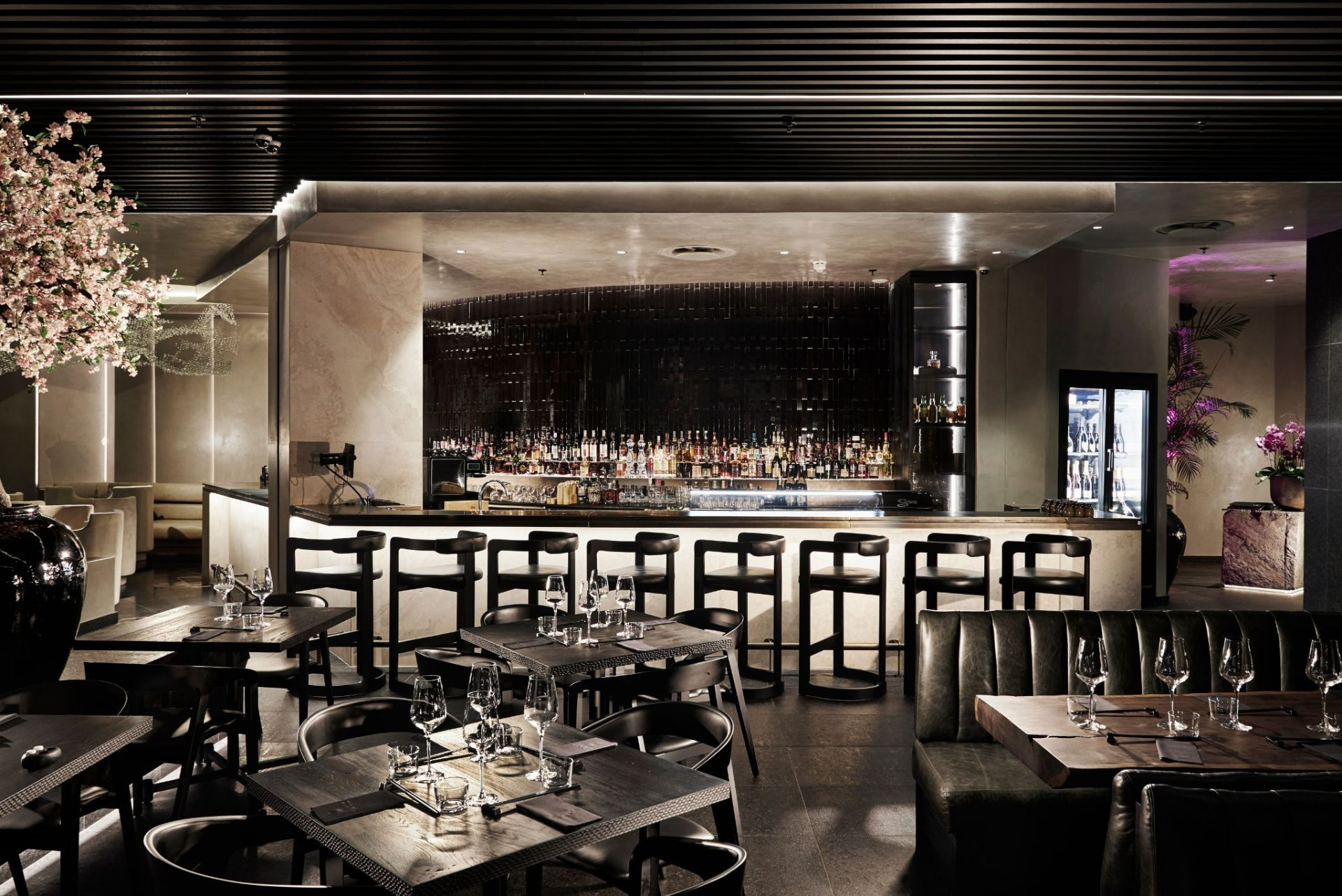 Tang Asian Luxury Restaurant