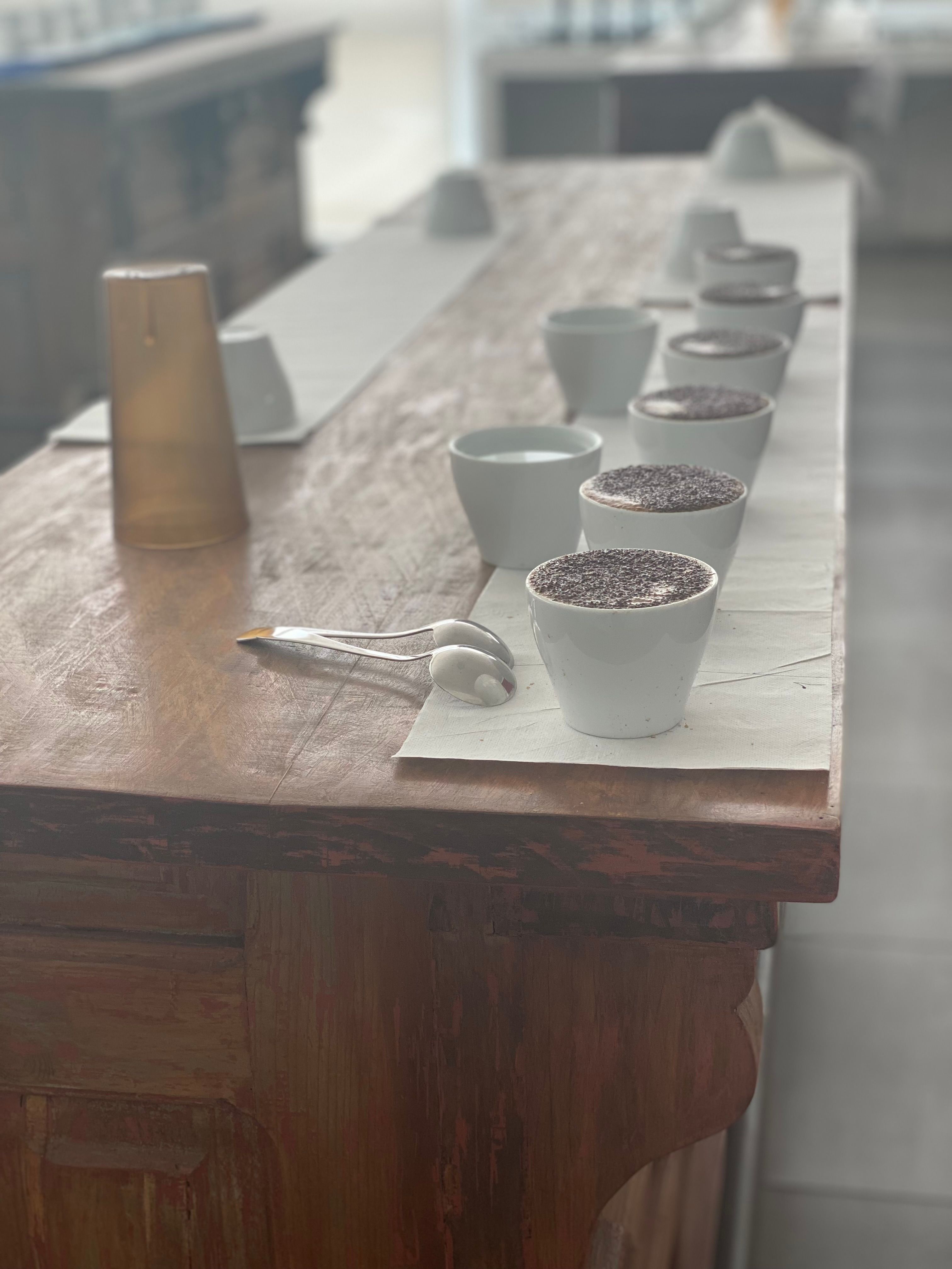 A cupping setup, with cups filled with coffee