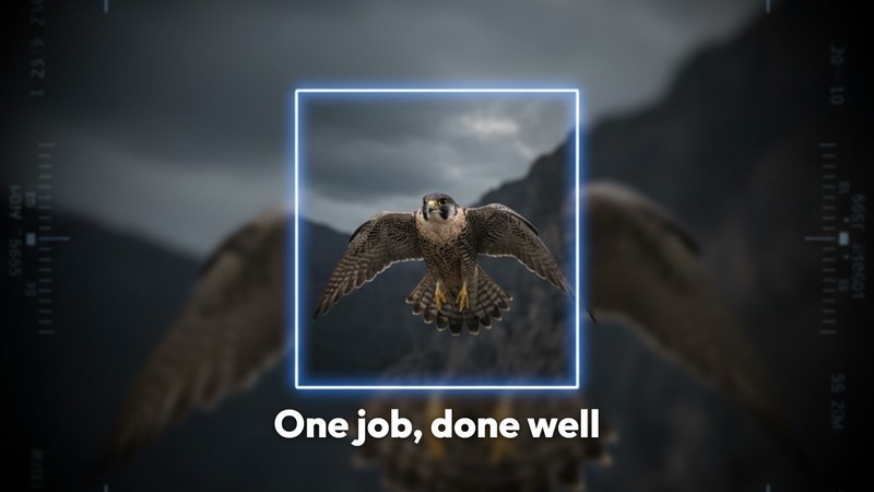 Auto-reframing