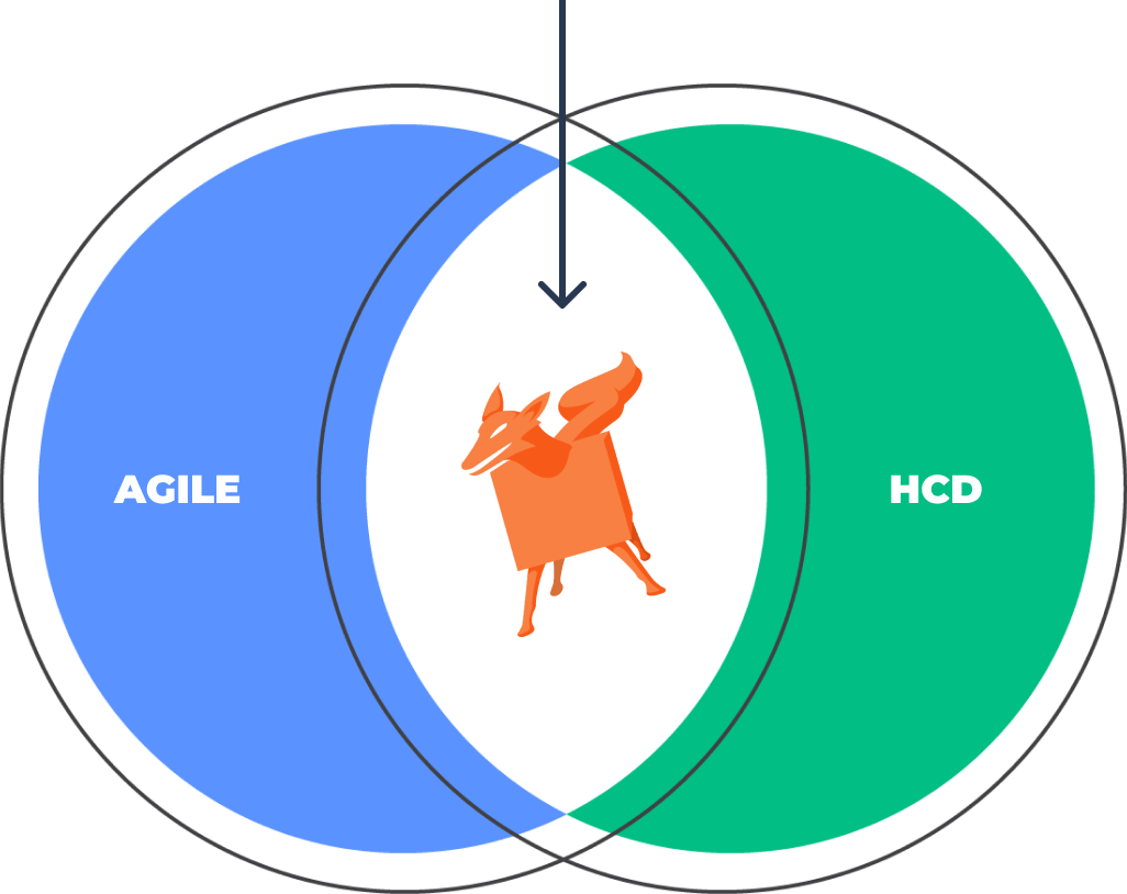 Venn Diagram