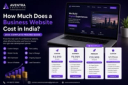 Business website pricing guide in India showing different website packages.