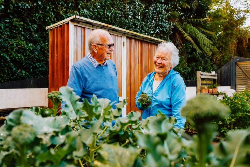 Residents in the community vegetable garden