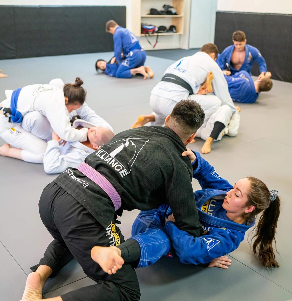 Alliance bjj miramar