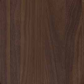 Dark Wood