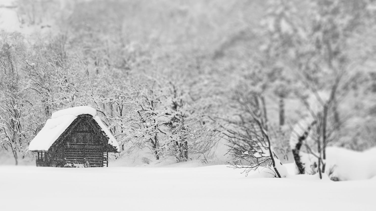 A small wooden hut nestled into the snow, surrounded by trees.