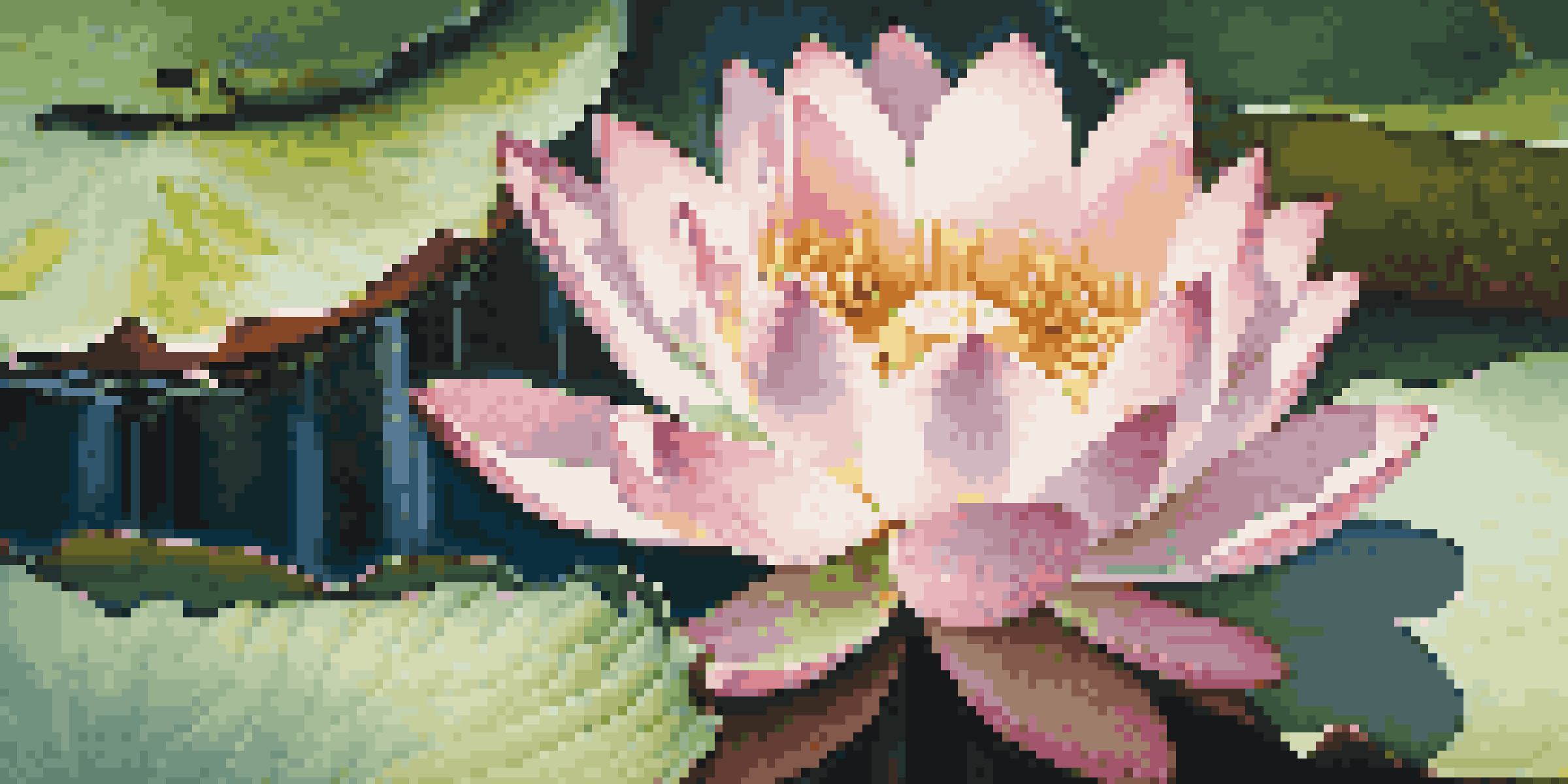 A close-up of a blooming lotus flower in a pond, with pink and white petals and green leaves.