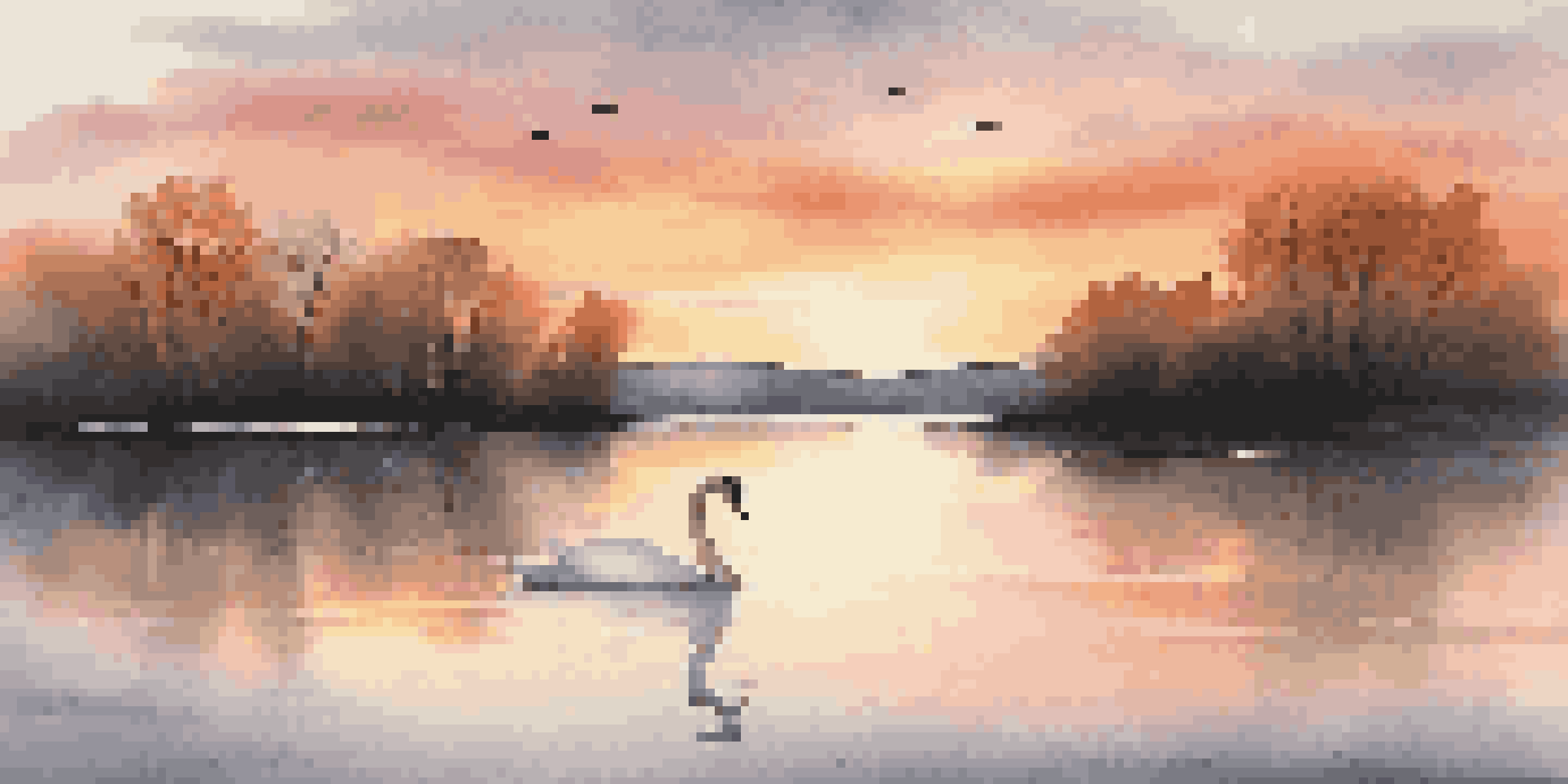 A tranquil lake at sunset with trees and a swan, creating a peaceful atmosphere.