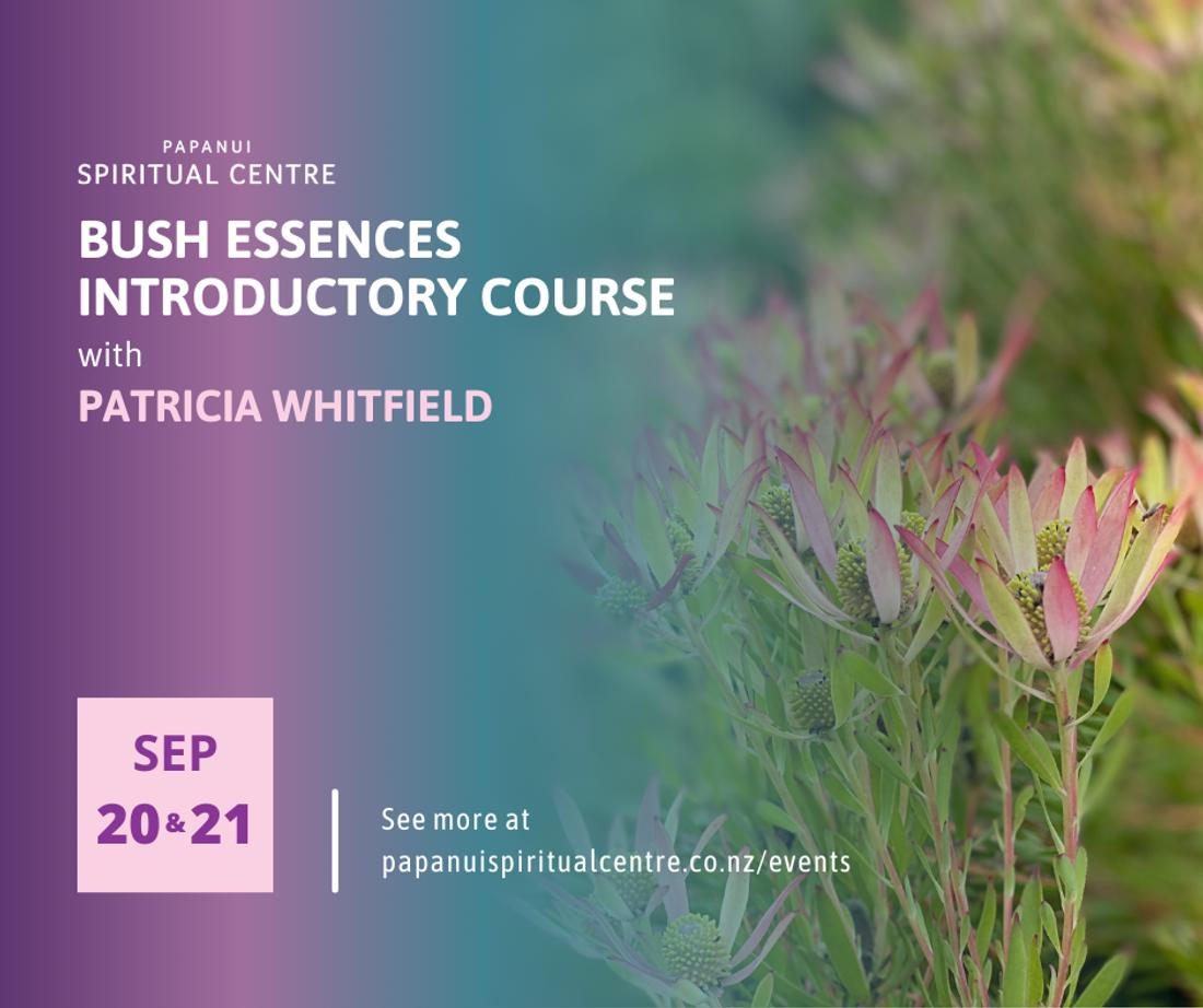 Bush Essences Introductory Course