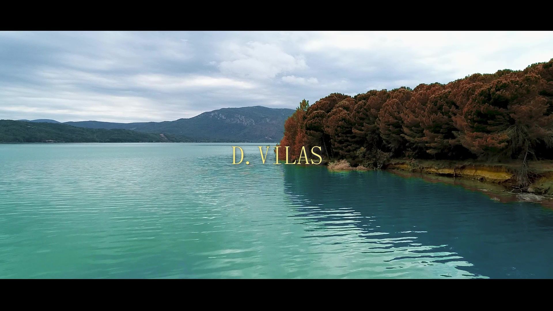 D.VILAS - NADIE METE GOL 