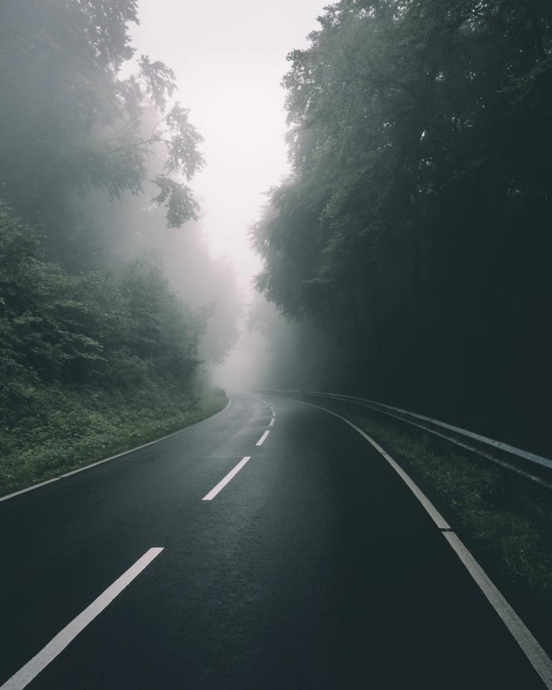 Road in a foggy forest