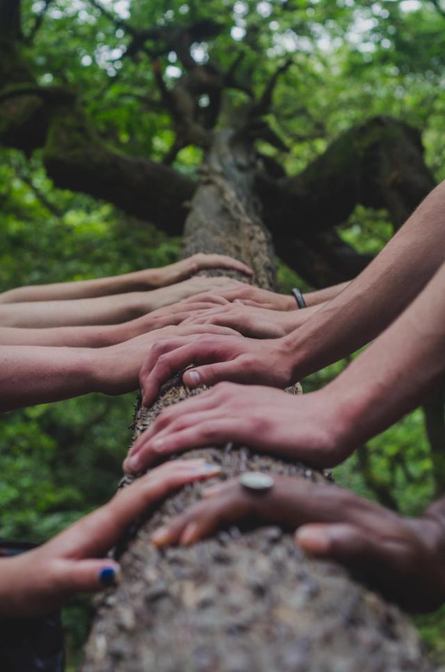 Building a Strong Support System: How to Manage Anxiety with Therapy