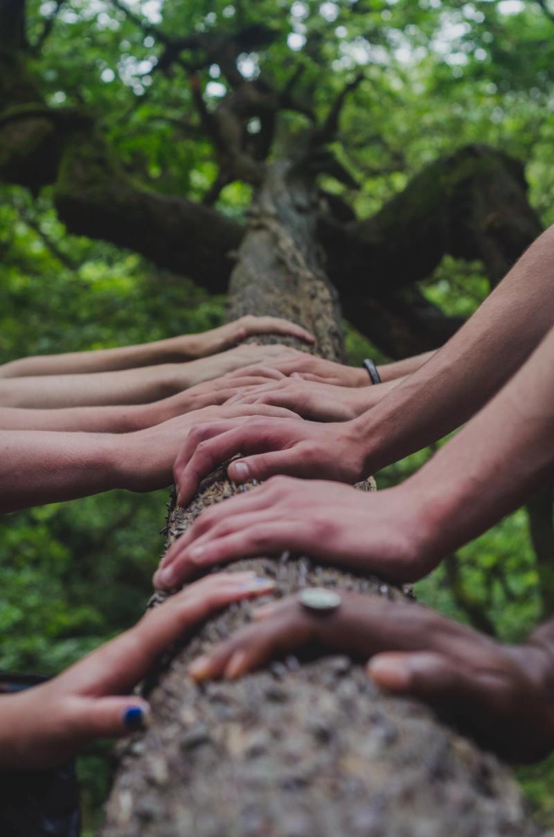 hands on a branch
