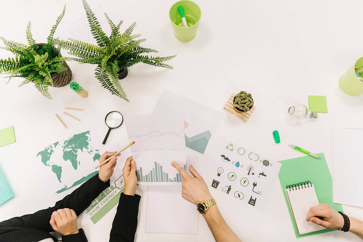 La Importancia del Análisis de Materialidad en la Estrategia hacia la Sostenibilidad Empresarial